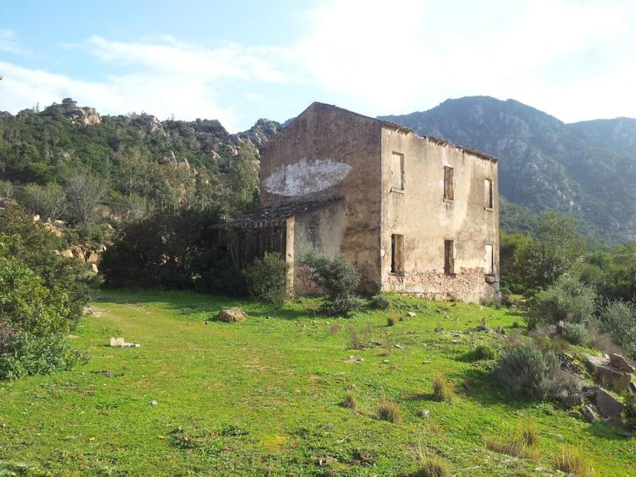 Casa Viola Di Maria Gabriella, San Vito A 25 Minuti Da Costa Rey E Villasimius المظهر الخارجي الصورة